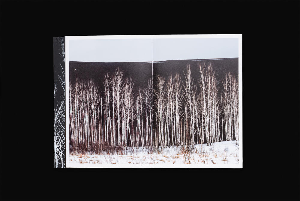 Image 4 of 14 from “A One Storied Country” by Ricardo Nunes