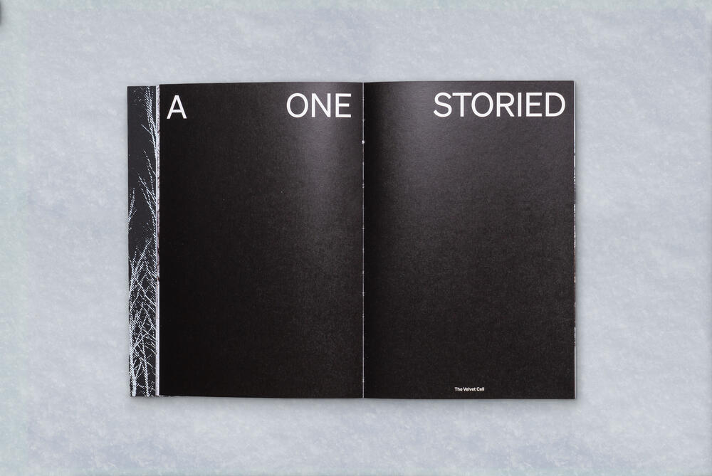 Image 5 of 14 from “A One Storied Country” by Ricardo Nunes