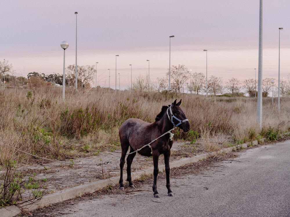 Image 3 of 30 from “For Sale” by Ricardo Nunes