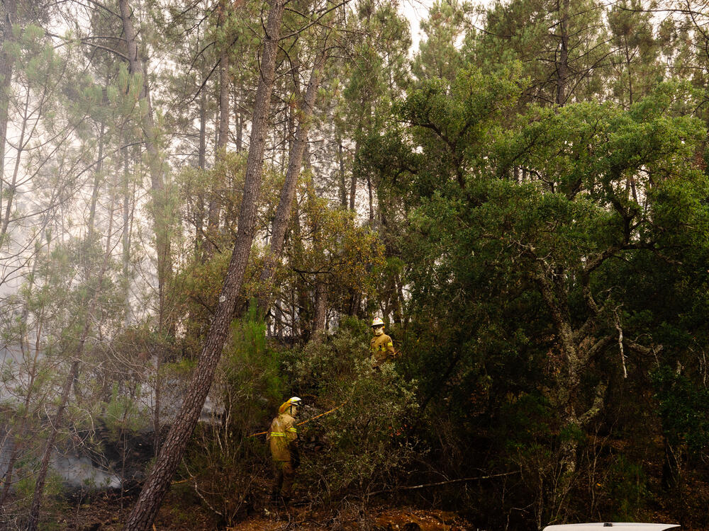 Image from page “Manmade” (Photo: Ricardo Alves Ferreira Nunes)